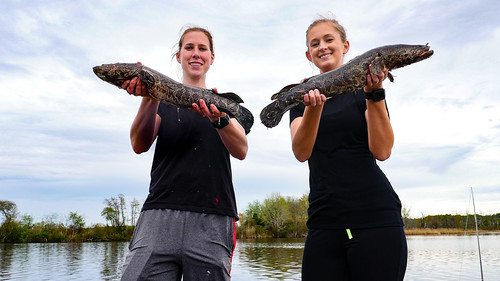 Maryland Offers Three License-Free Fishing Days This Summer