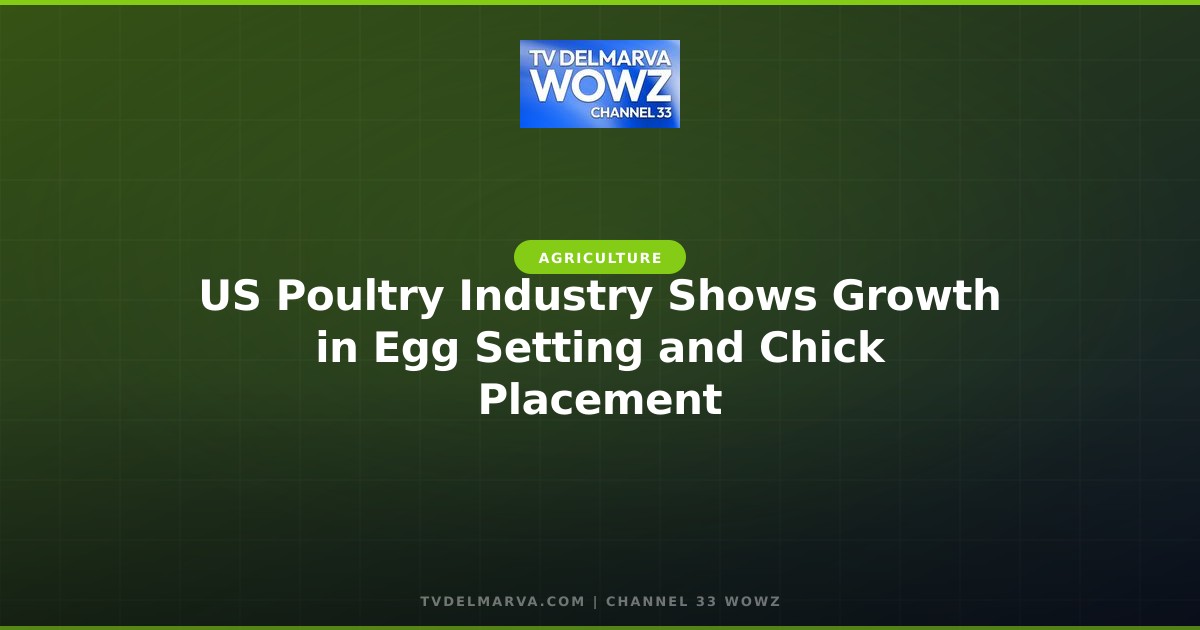 US Poultry Industry Shows Growth in Egg Setting and Chick Placement
