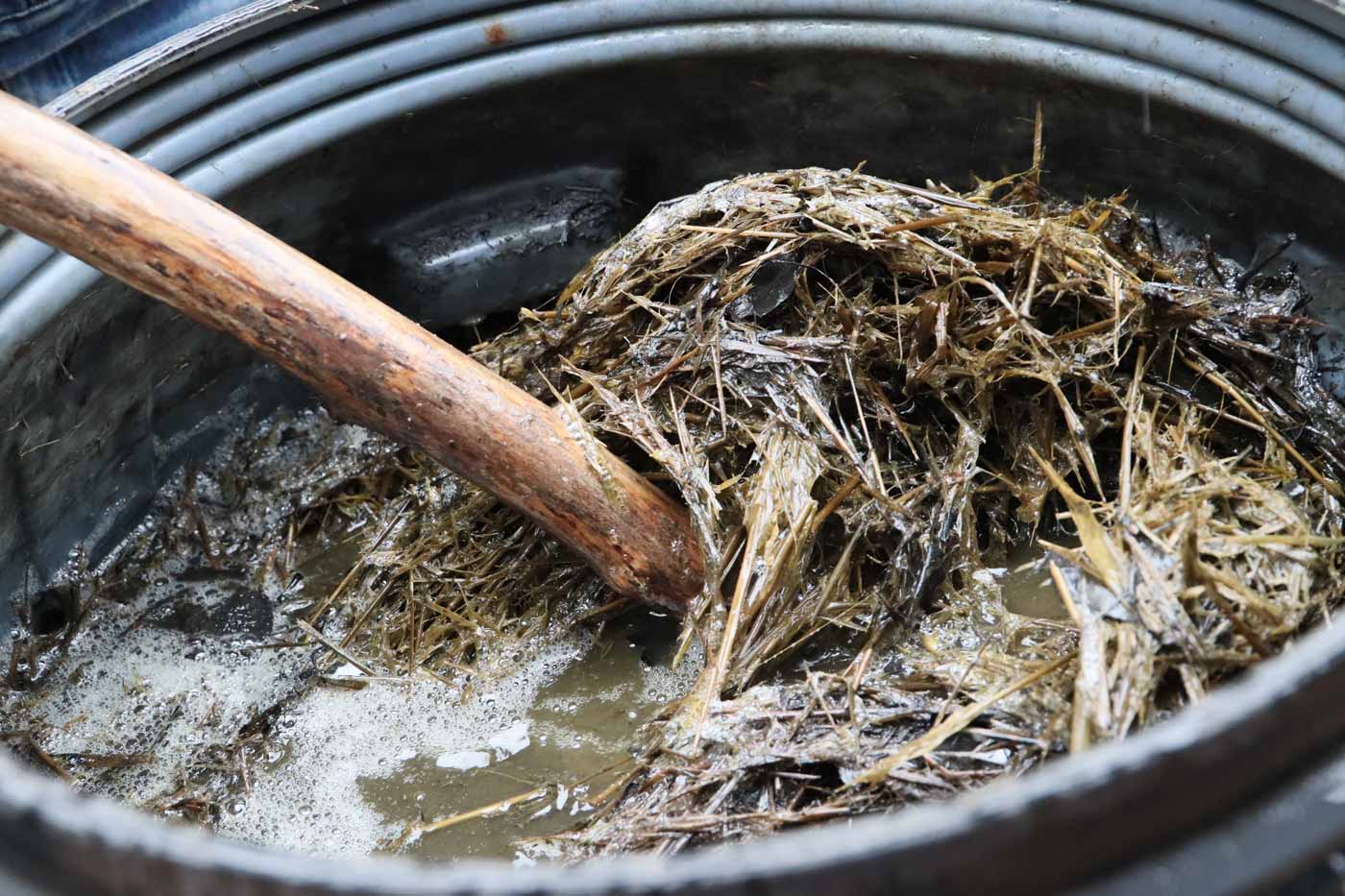 Virginia Farmer Uses Ancient Korean Method to Transform Crops Naturally