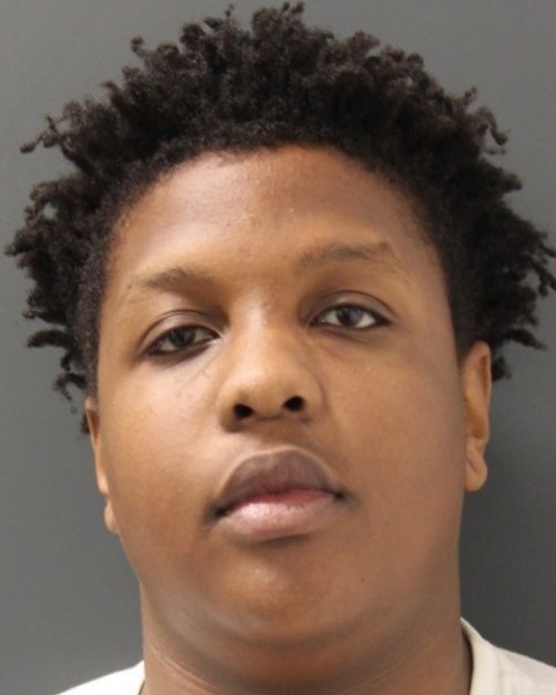 Seaford Homicide Suspect Arrested in Maryland, Faces Murder Charges