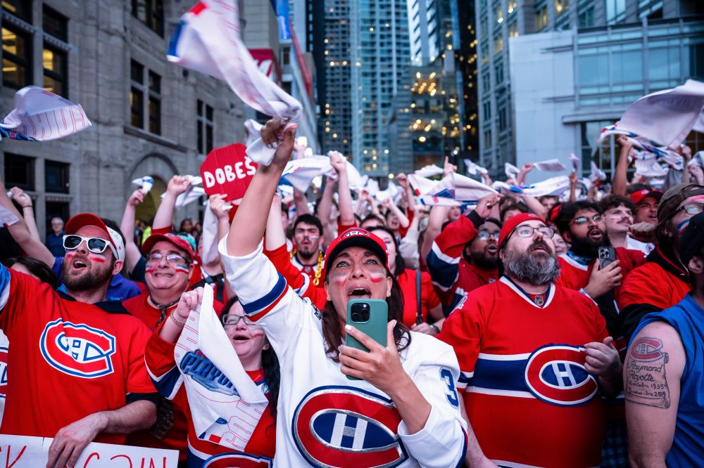 Female Hockey Fans Drive Record Stanley Cup Playoff Viewership