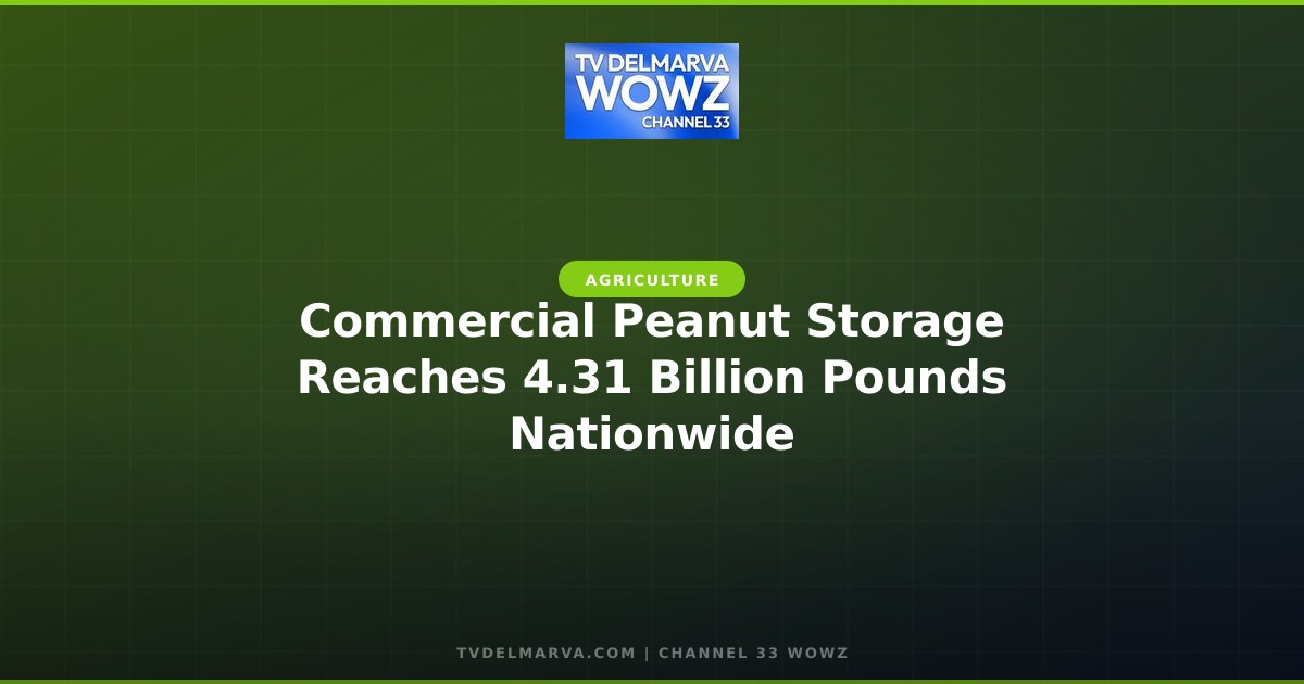 Commercial Peanut Storage Reaches 4.31 Billion Pounds Nationwide