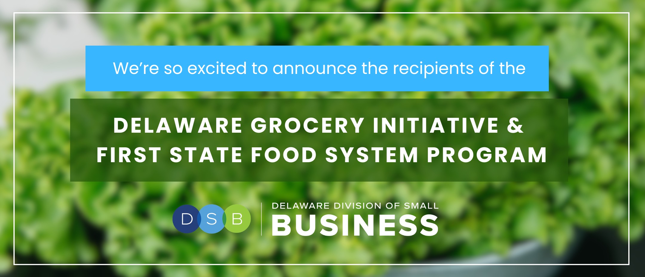 State Awards Over $700K to 28 Delaware Groups for Food Access Projects