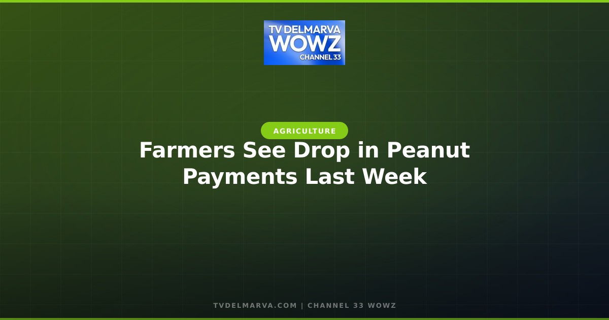 Farmers See Drop in Peanut Payments Last Week