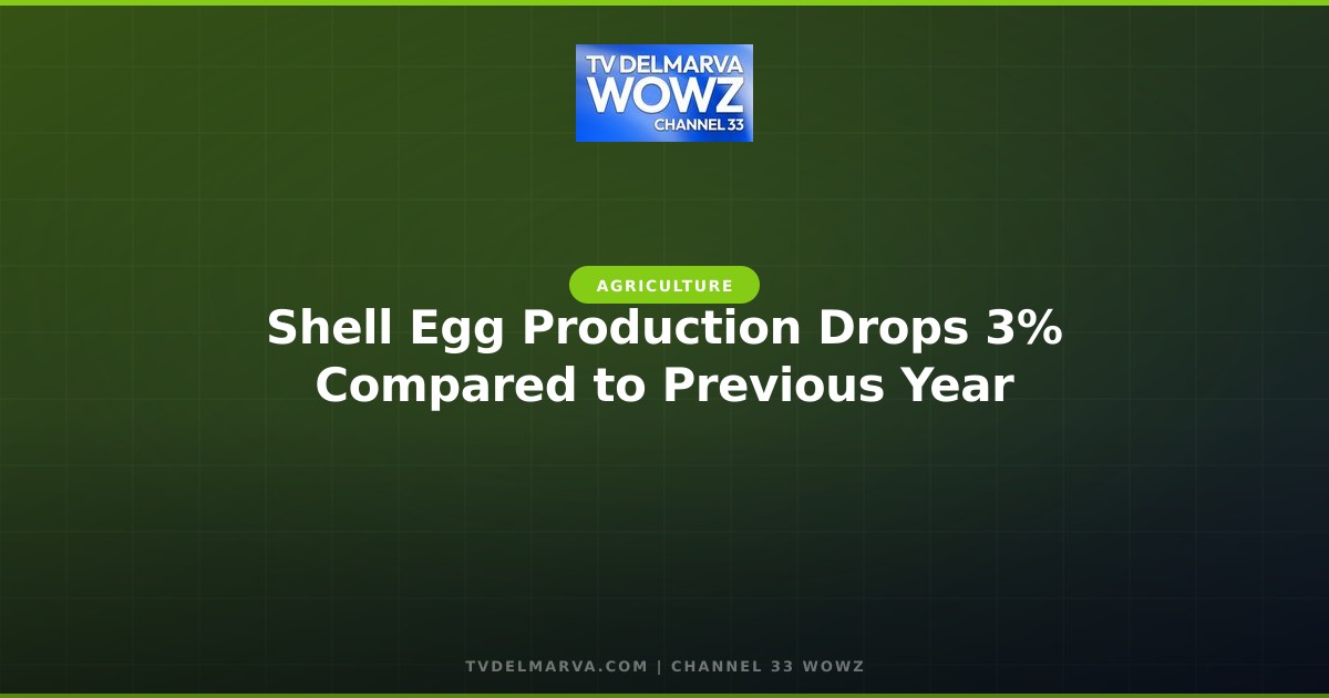 Shell Egg Production Drops 3% Compared to Previous Year