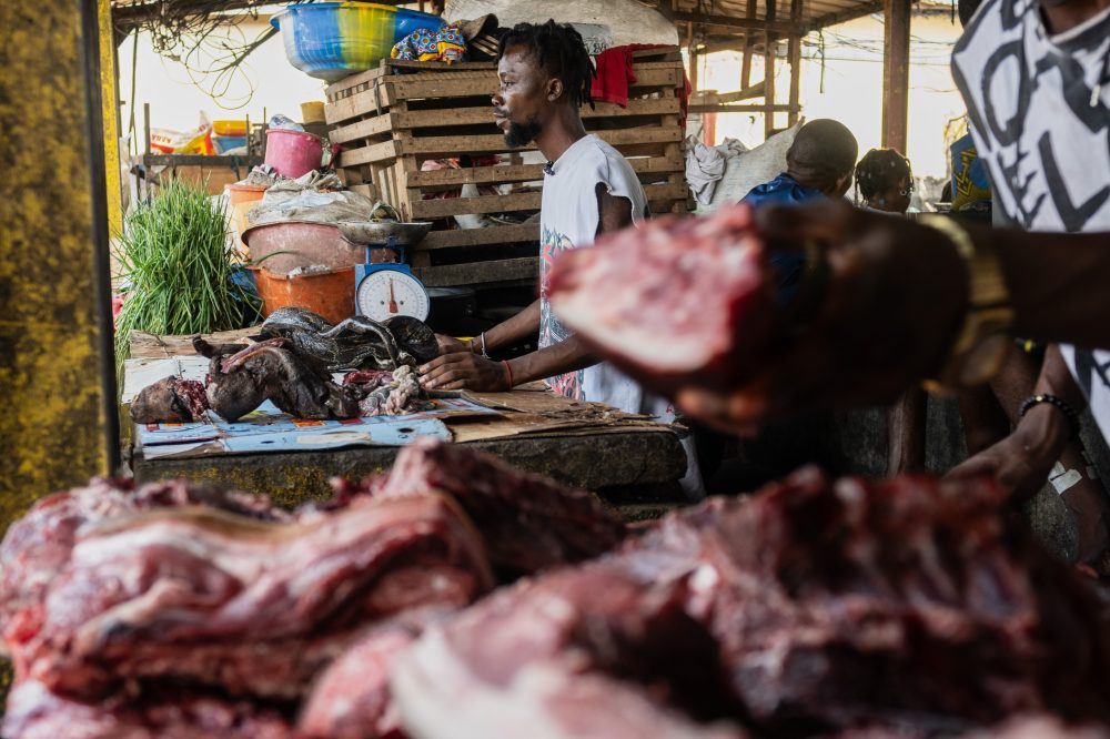 Congo Ebola Crisis Linked to Wild Meat Trade Despite Health Warnings