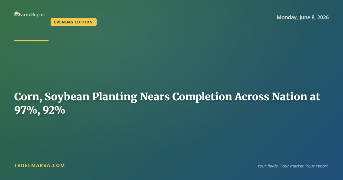 Corn, Soybean Planting Nears Completion Across Nation at 97%, 92%