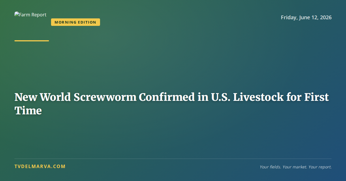New World Screwworm Confirmed in U.S. Livestock for First Time