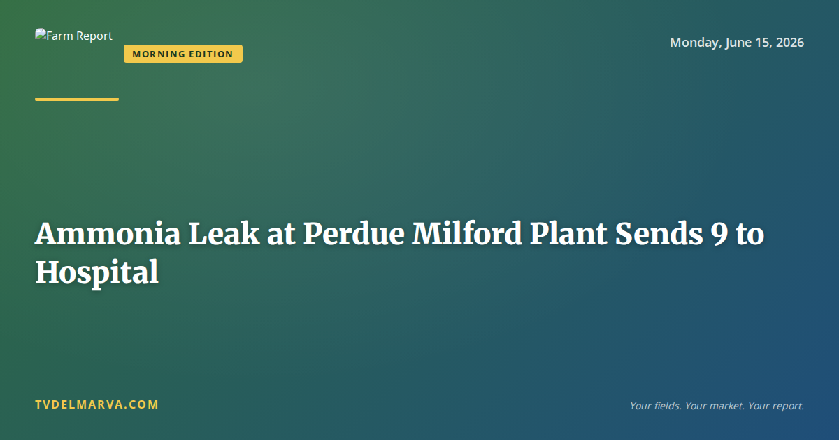 Ammonia Leak at Perdue Milford Plant Sends 9 to Hospital