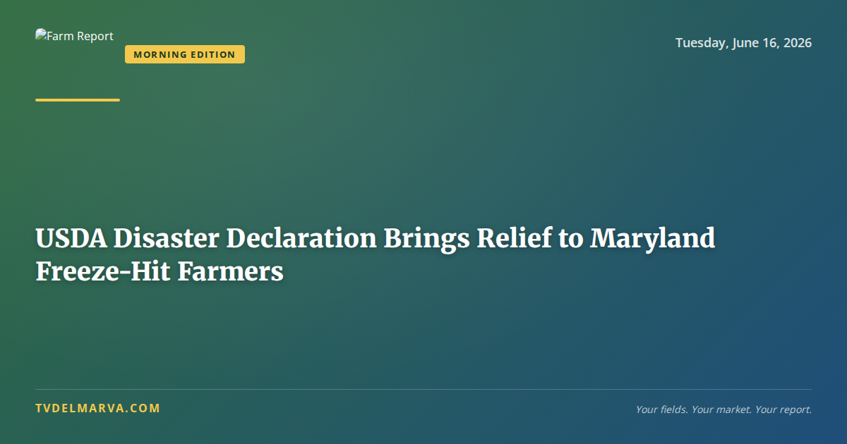 USDA Disaster Declaration Brings Relief to Maryland Freeze-Hit Farmers