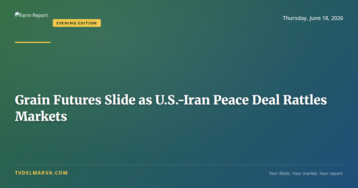 Grain Futures Slide as U.S.-Iran Peace Deal Rattles Markets