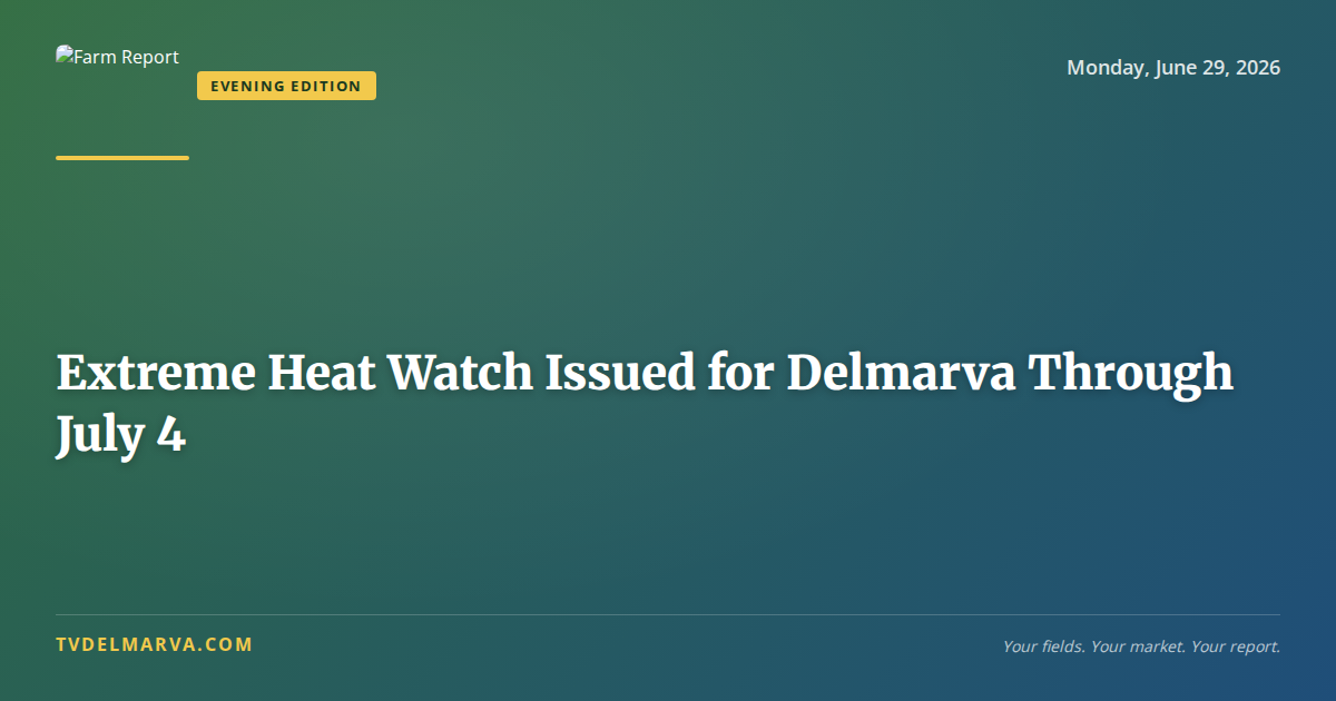 Extreme Heat Watch Issued for Delmarva Through July 4