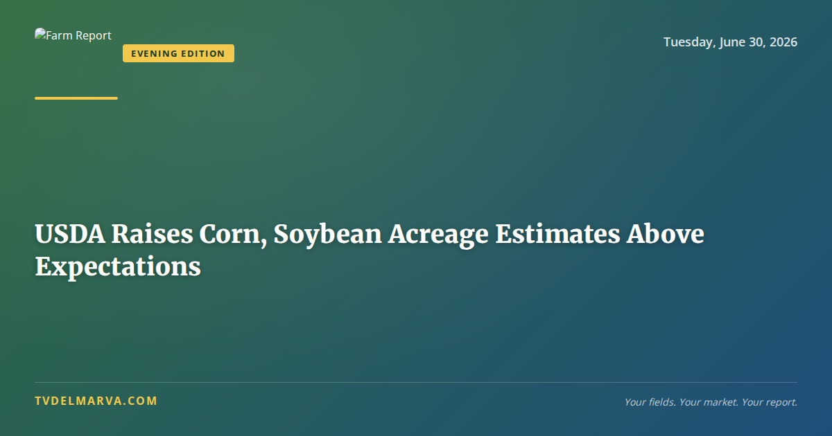 USDA Raises Corn, Soybean Acreage Estimates Above Expectations