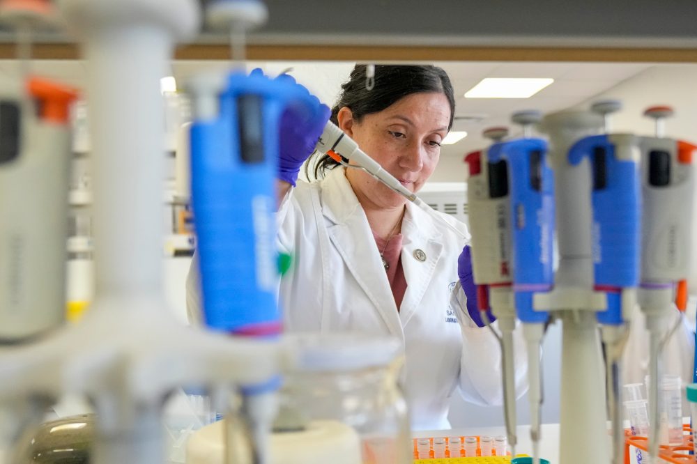 Deadly Hantavirus Research Advances Despite Funding Challenges