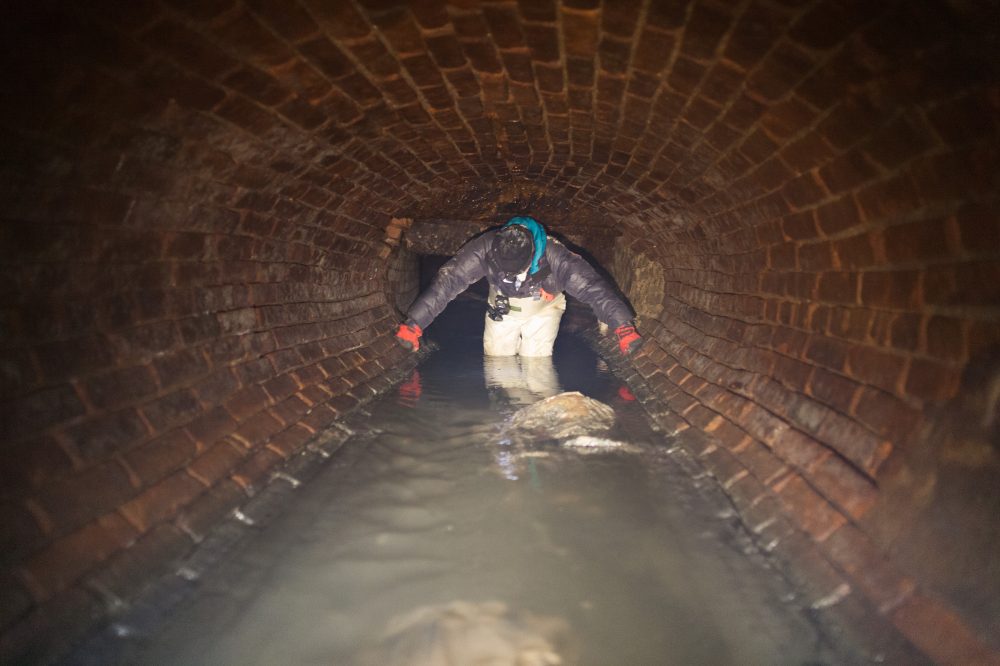 Ex-Explorer Reveals Cockroaches Were Worst Part of NYC Sewer Adventures