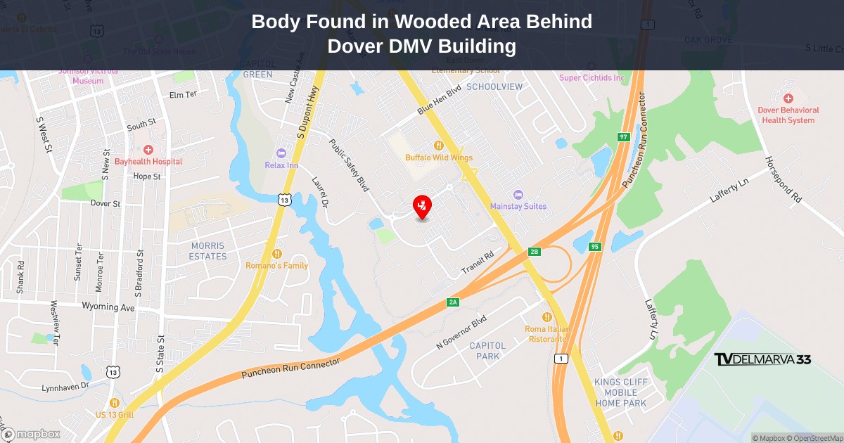 Body Found in Wooded Area Behind Dover DMV Building