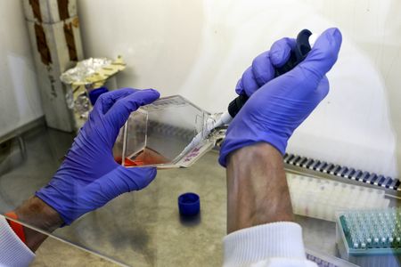 Breakthrough Cell Therapy Offers New Hope for Kidney Transplant Patients