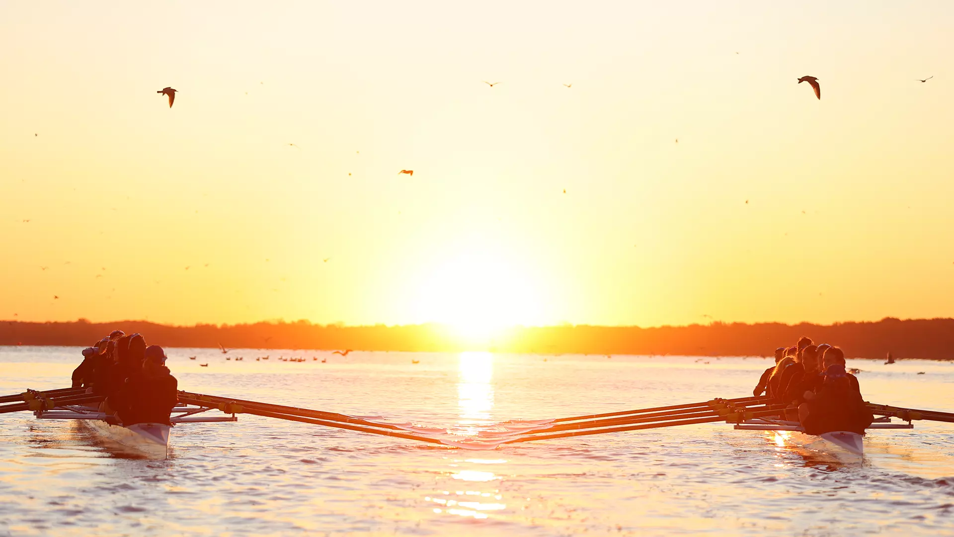 Ten Blue Hens Rowers Earn CRCA Academic Recognition