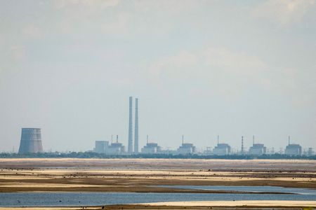 Ukraine Nuclear Plant Restores Power After UN-Brokered Ceasefire