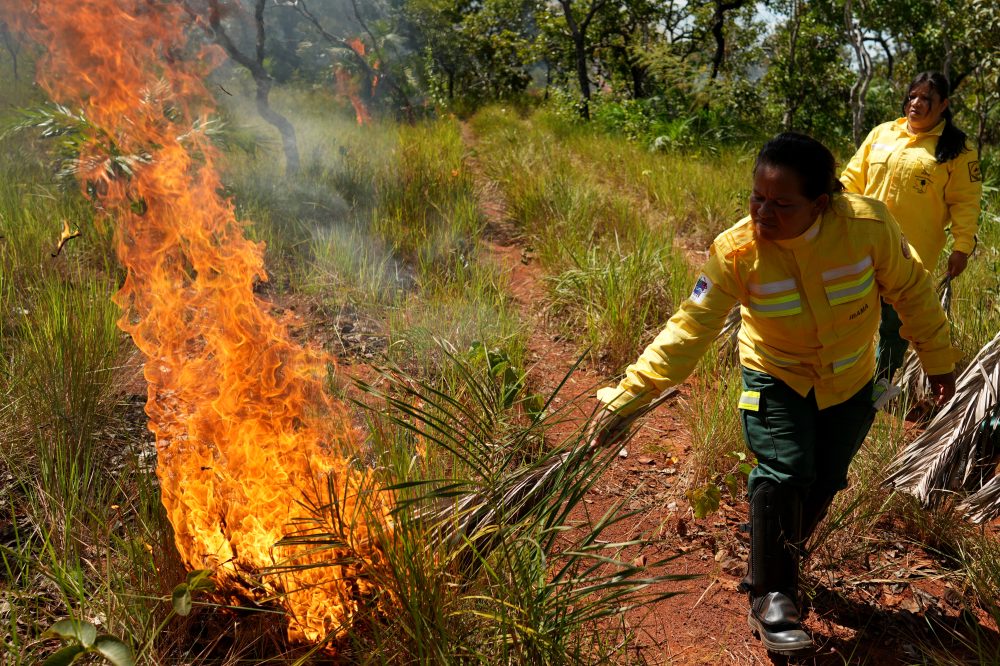 Indigenous Fire Practices Help Combat Brazil Wildfires