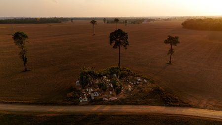 Rising Fertilizer Costs Threaten Brazil’s Agricultural Dominance Over US Farmers