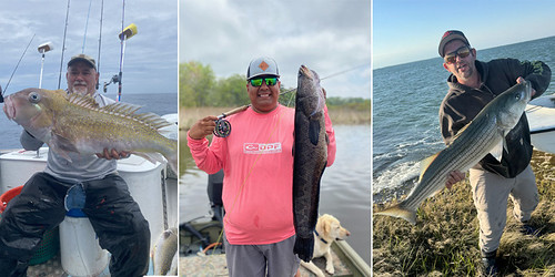 Three Maryland Anglers Achieve Top Fishing Honor in May