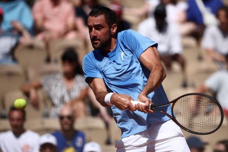 Croatian Tennis Player Cilic Upsets Seventh Seed at Netherlands Tournament