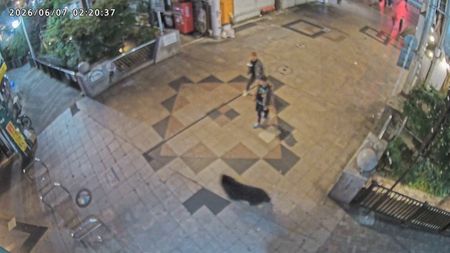 Schools Close Second Day as Search for 220-Pound Bear Continues in Japan