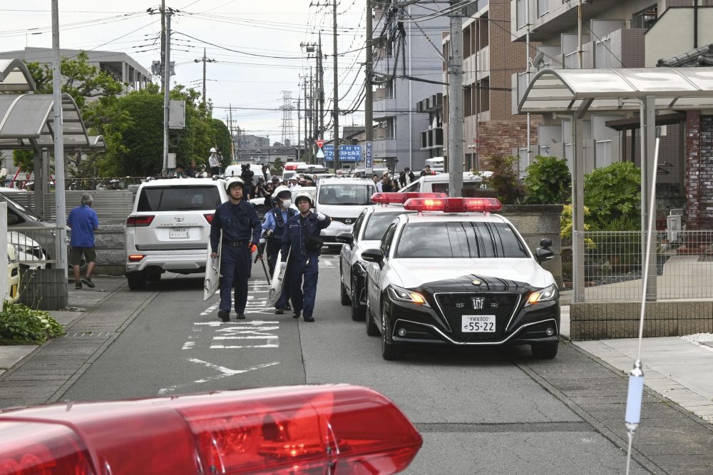 Bear Tranquilized in Japanese City After Days of School Closures, Panic