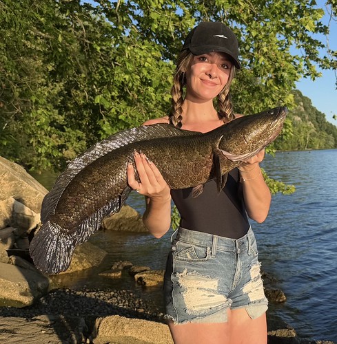 Maryland Waters Offer Prime Fishing Opportunities This Week