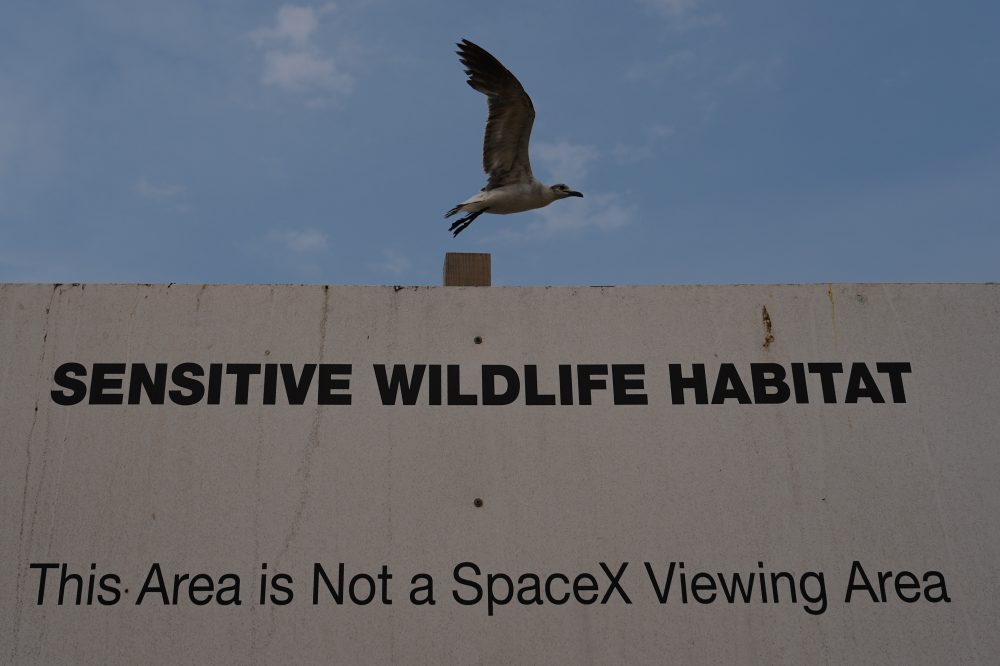Environmental Groups Sue to Block SpaceX Land Deal in Texas Wildlife Refuge