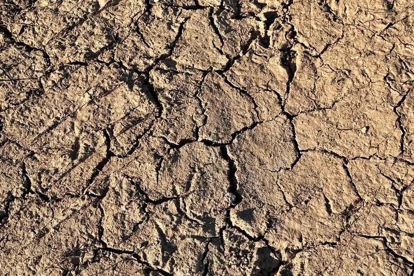 Nine Virginia Counties Get Drought Emergency Farm Loans