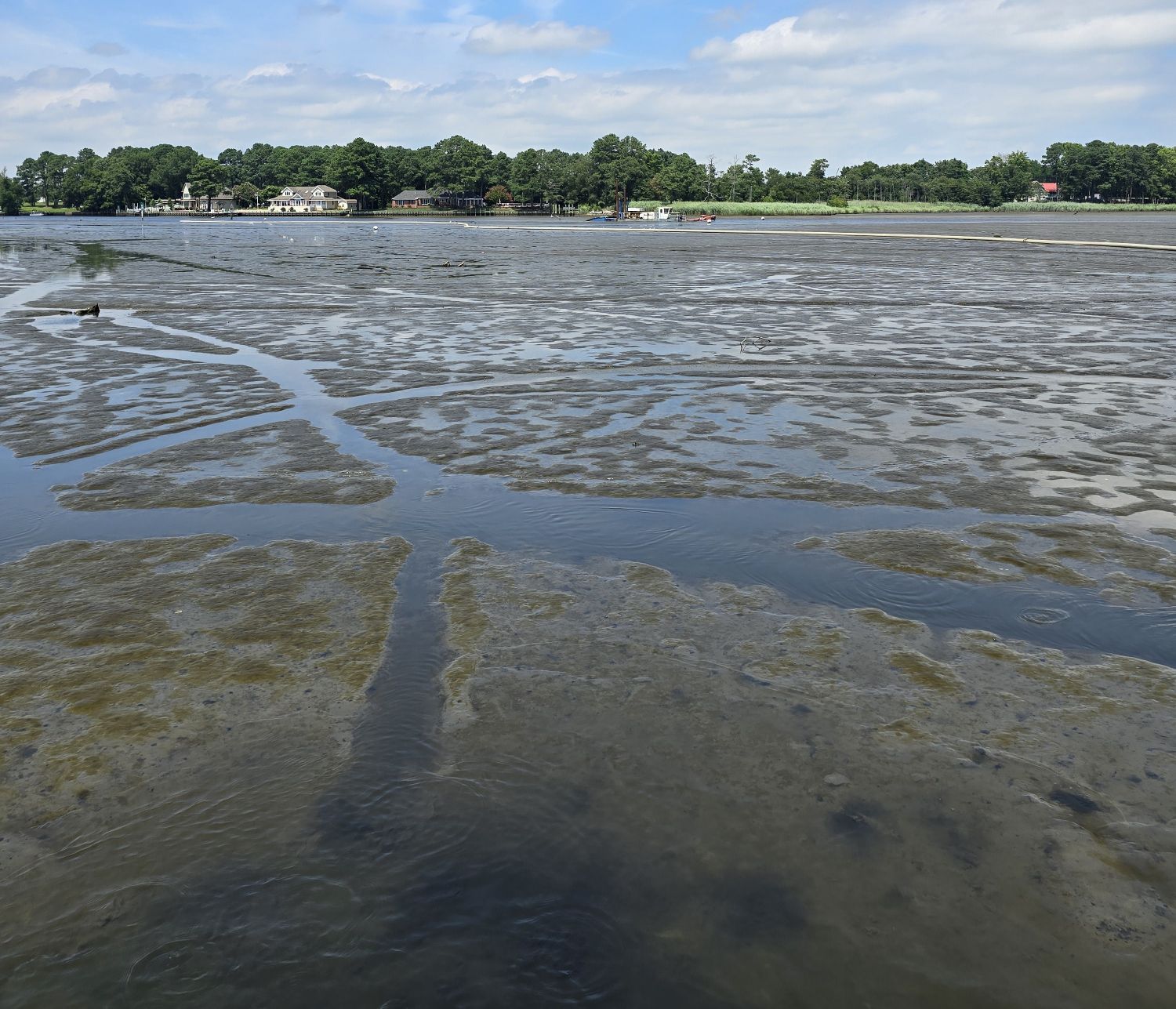 Indian River Dredging Work Continues Near Millsboro Through Summer