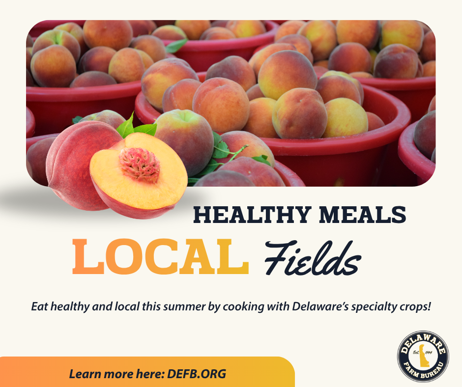 Delaware Farm Bureau Starts New Program Connecting Families with Local Crops
