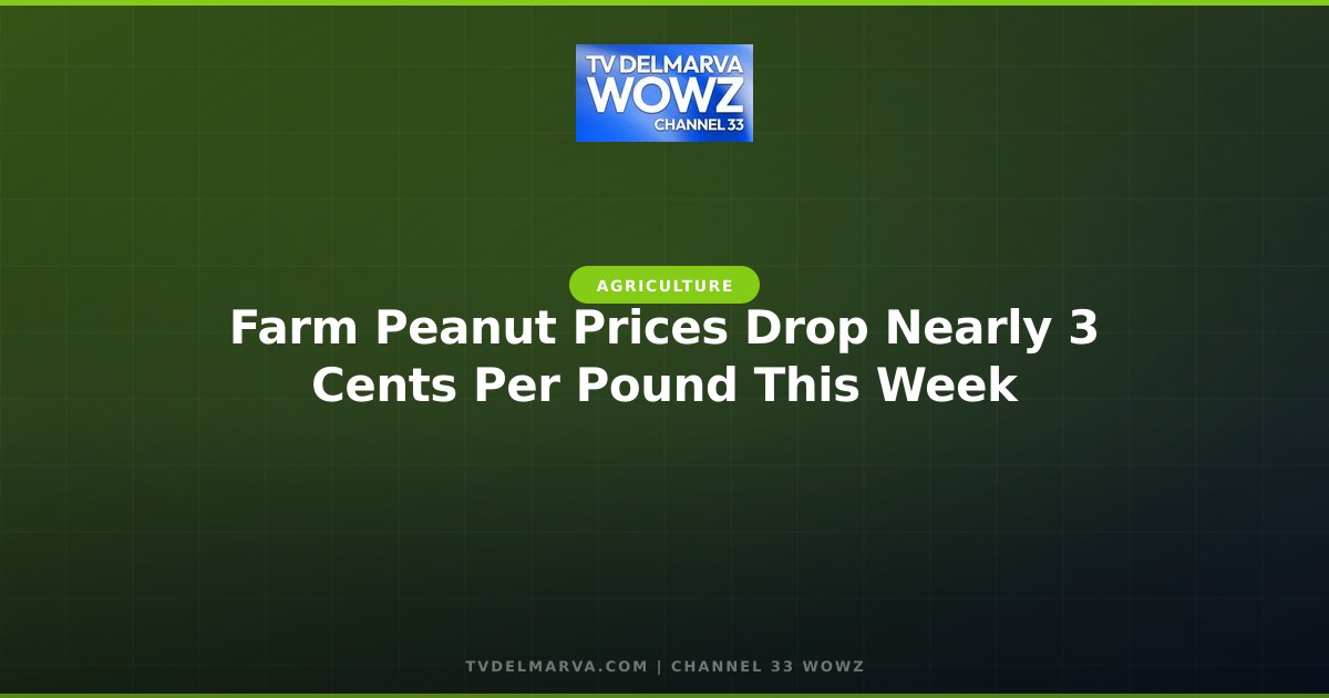 Farm Peanut Prices Drop Nearly 3 Cents Per Pound This Week