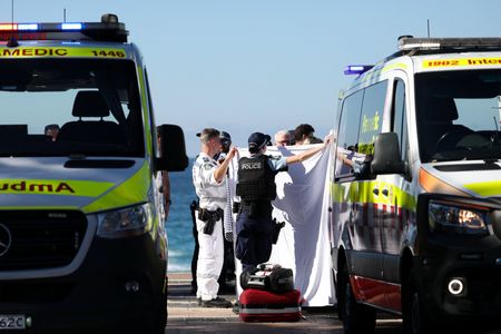 30-Year-Old Woman Severely Hurt in Sydney Beach Shark Attack