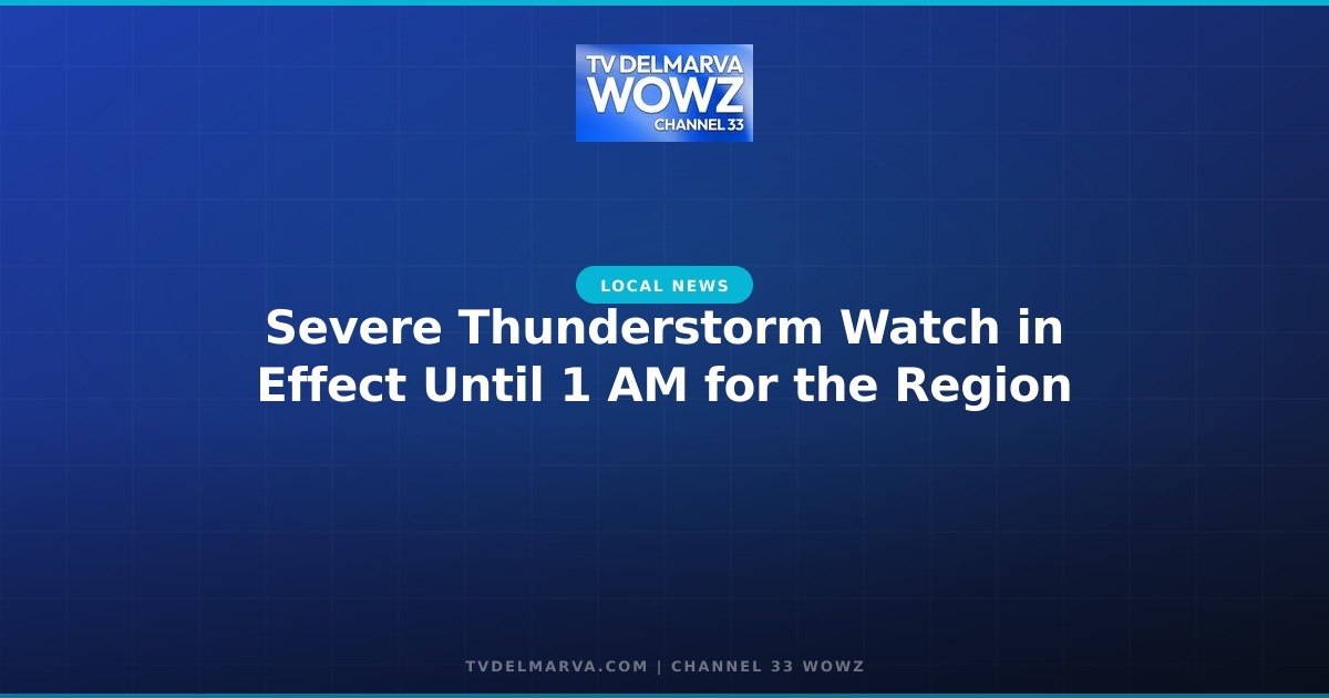 Severe Thunderstorm Watch in Effect Until 1 AM for the Region