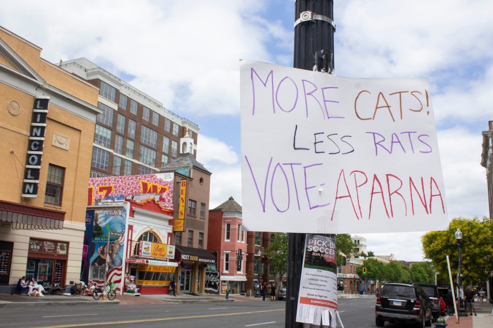 Washington DC Holds Historic Primary With New Voting System and Multiple Open Seats