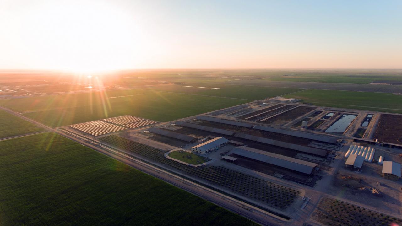 Dairy Industry Releases Mid-Year 2026 Data Update