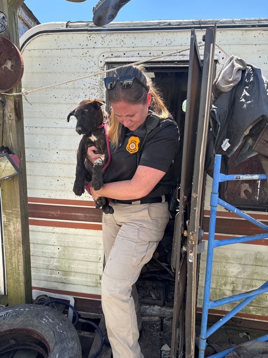 Smyrna Man Arrested After 19 Dogs Found in Inhumane Conditions