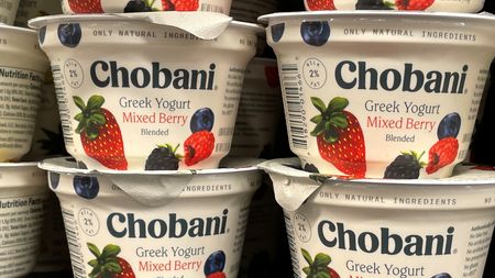 Danone Sues Chobani, Claims Rival Inflates Protein Numbers on Yogurt Labels