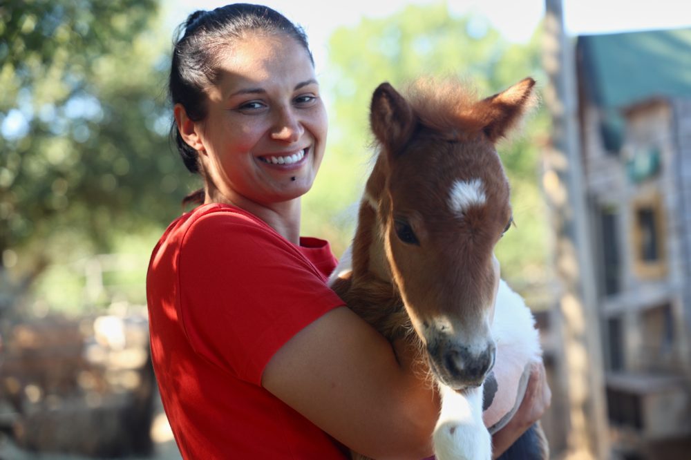 Tiny Pony Named Mile Moves Into 4th-Floor Croatian Apartment After Rough Start