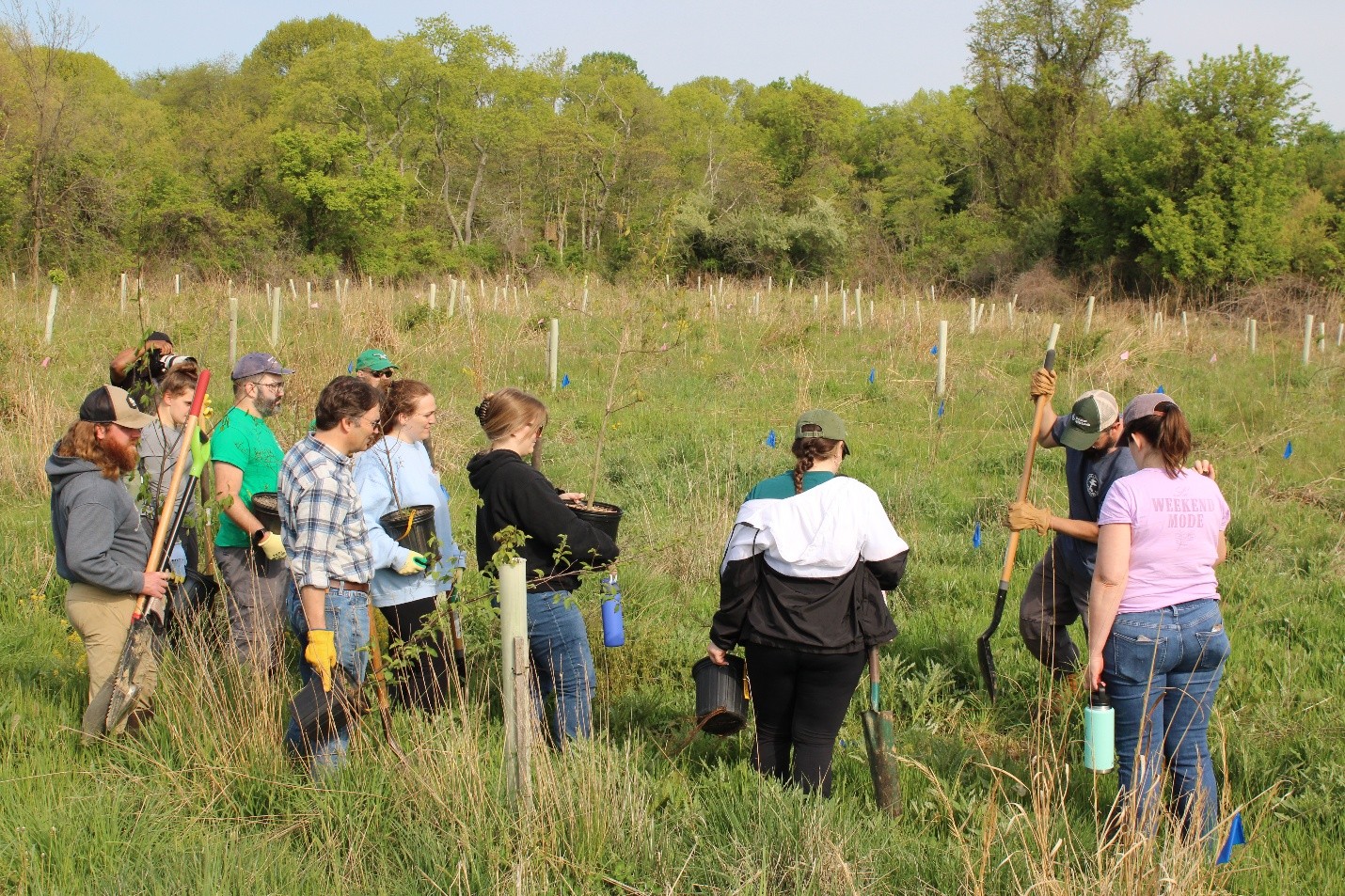 Delaware’s Tree Initiative Crosses 500,000 Plantings Milestone