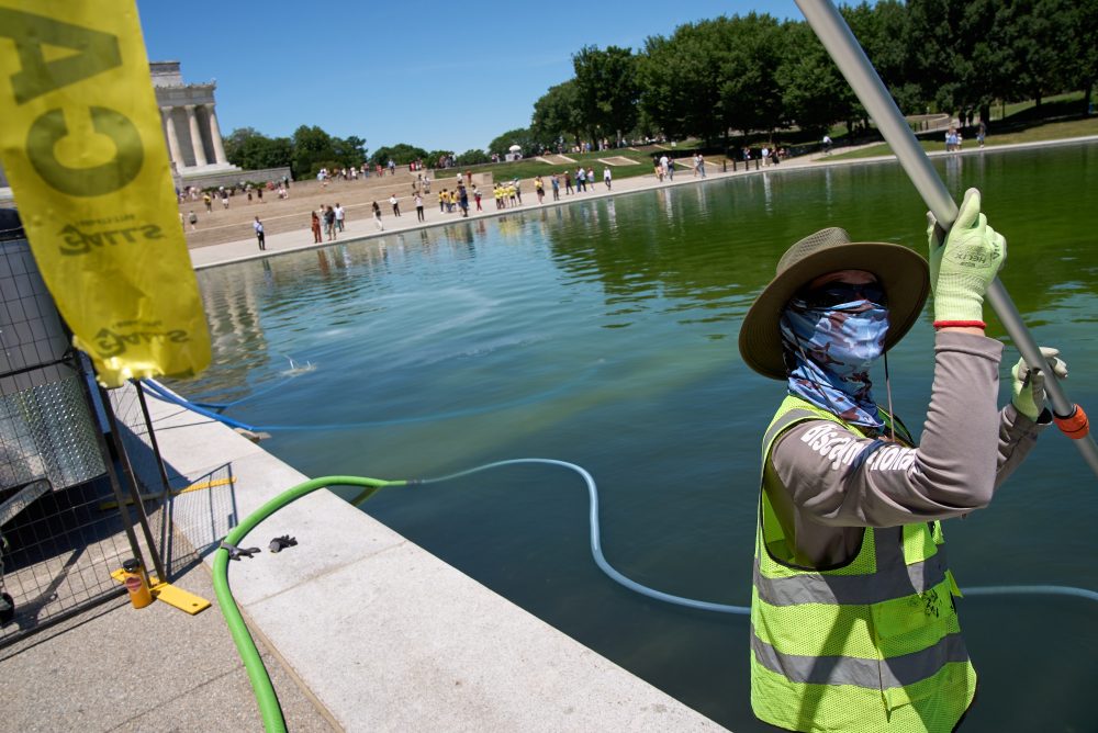 Algae Invades Trump’s Newly Renovated Lincoln Memorial Reflecting Pool