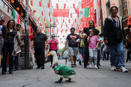 Duck Named Merlin Becomes Unlikely World Cup Star for Mexico