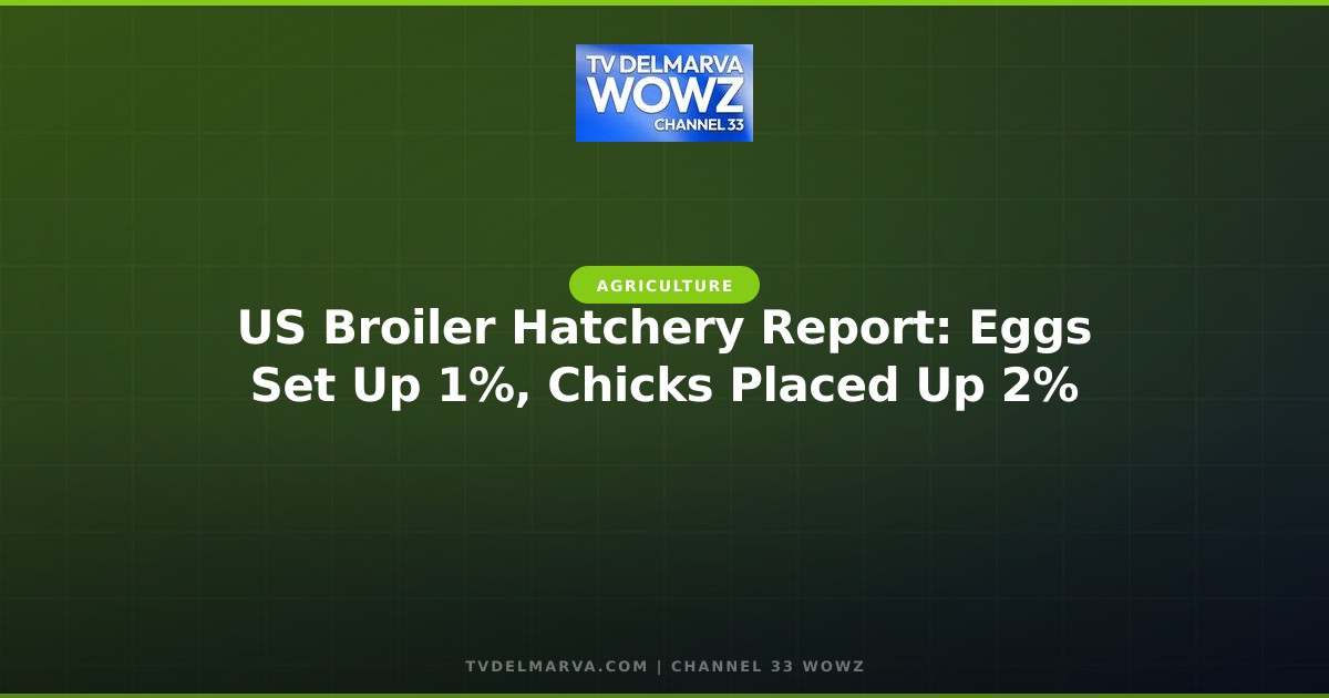 US Broiler Hatchery Report: Eggs Set Up 1%, Chicks Placed Up 2%