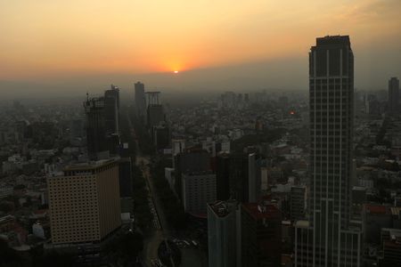 Satellites Capture the ‘Urban Pulse’ of Six Major World Cities
