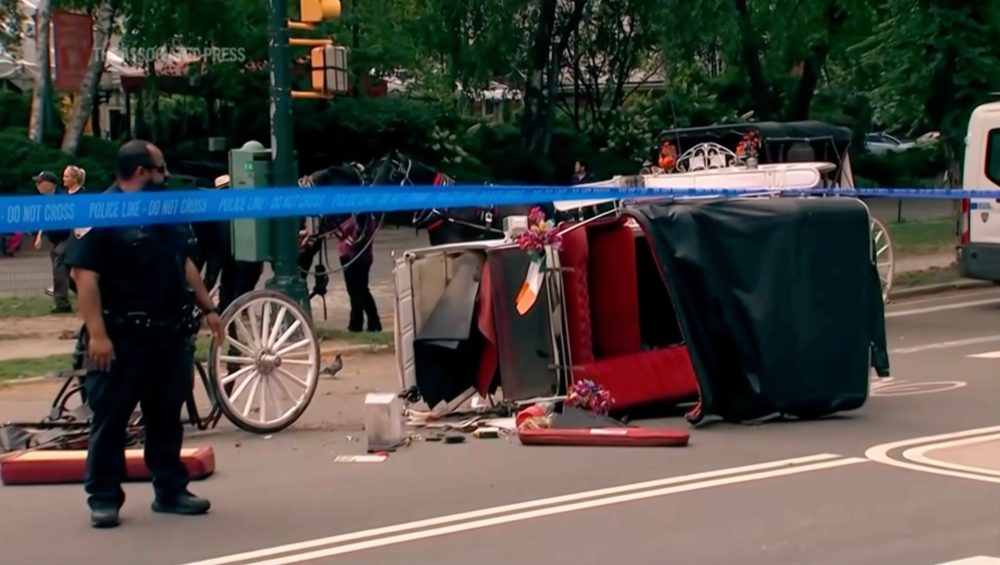 NYC Mayor, Officials Demand End to Horse Carriage Rides After Teen’s Fatal Accident