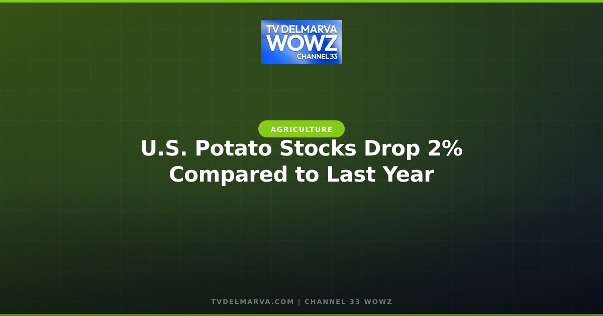 U.S. Potato Stocks Drop 2% Compared to Last Year