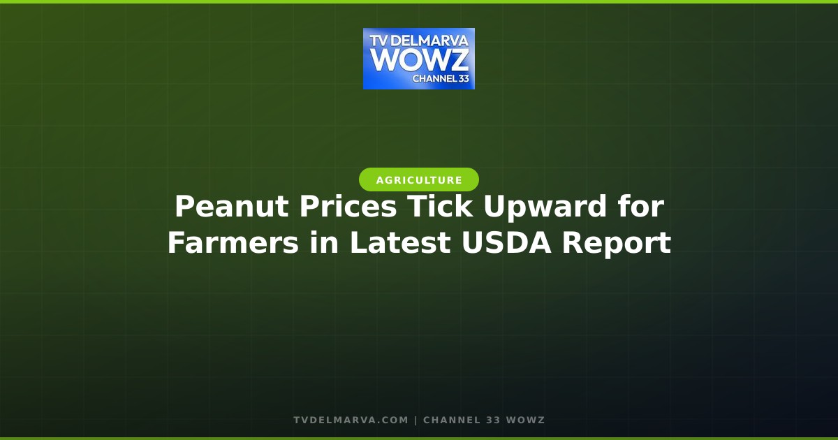 Peanut Prices Tick Upward for Farmers in Latest USDA Report